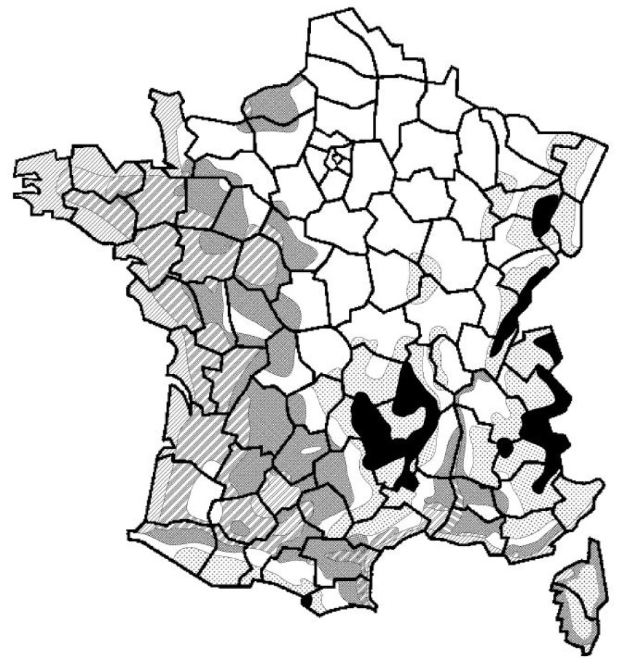 Carte de France des zones de gel pour dallage pierre naturelle